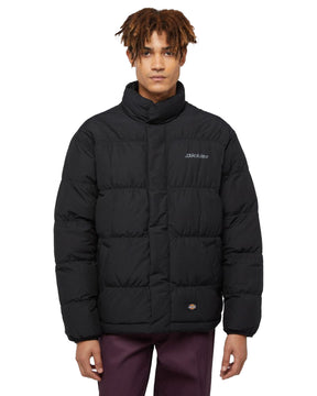 Giacca Uomo Dickies Scobey Puffer Jacket Black