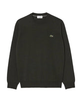 Man Sweater Lacoste Green