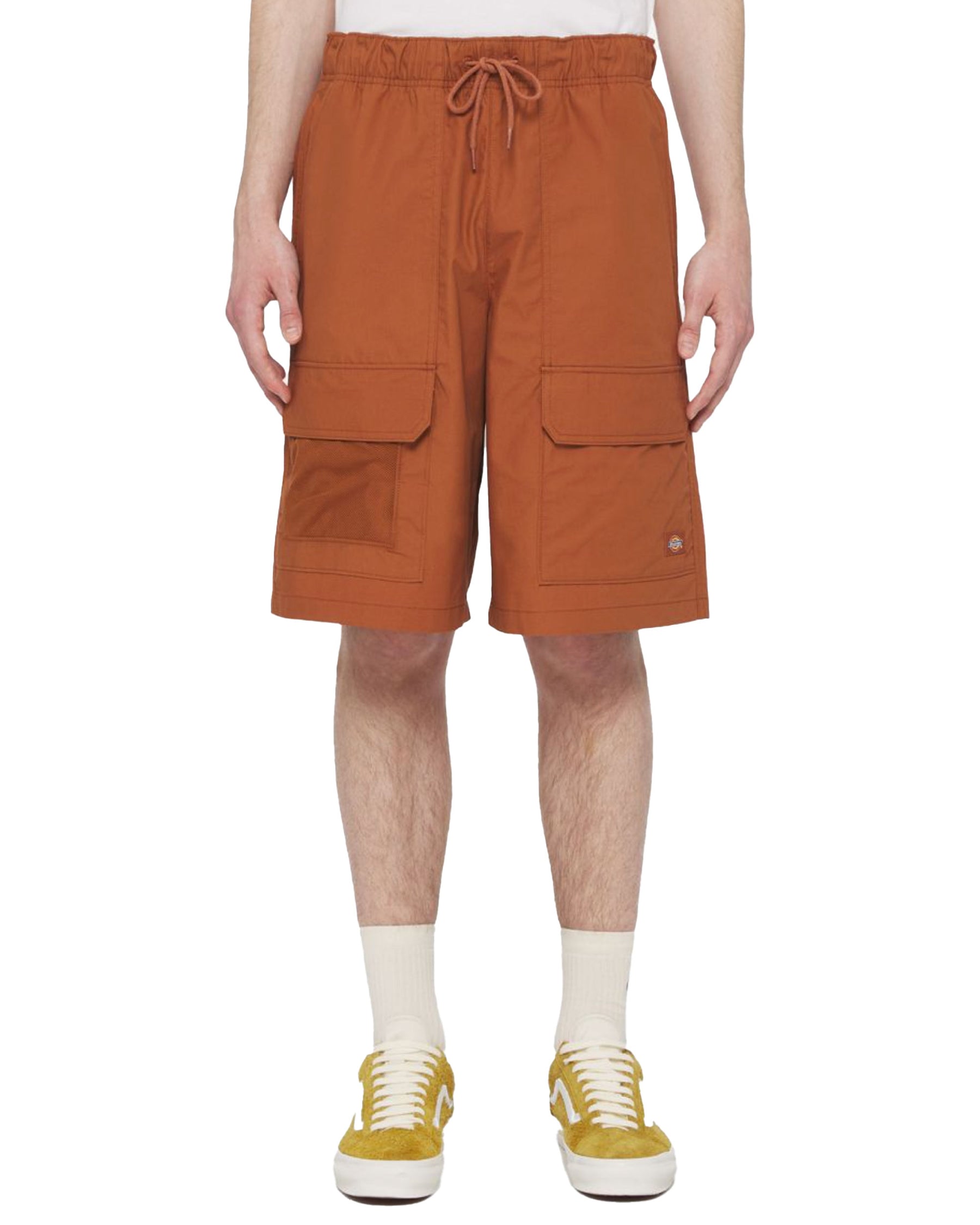 Man Shorts Dickies Fishersville Mocha Bisque