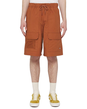 Man Shorts Dickies Fishersville Mocha Bisque