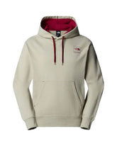 The North Face Coordinates Hoodie Clay Grey